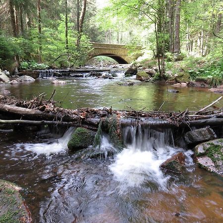 Fewo Kruse Am Wurmberg Braunlage Bagian luar foto