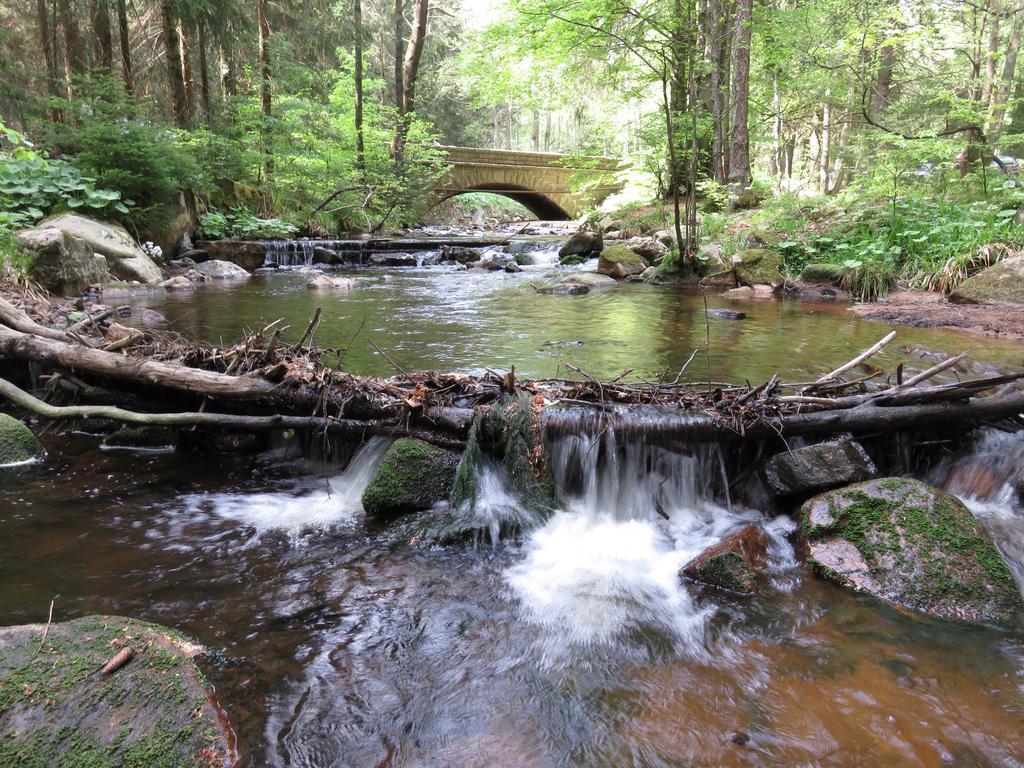 Fewo Kruse Am Wurmberg Braunlage Bagian luar foto